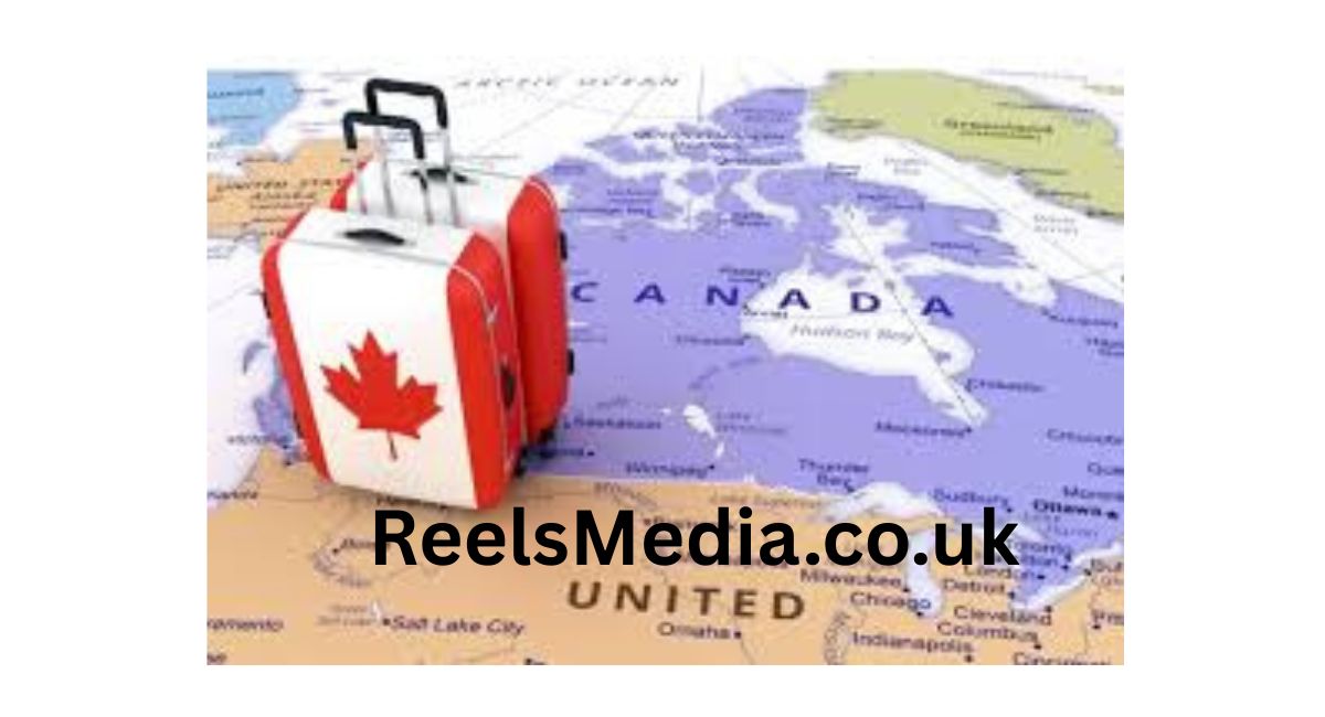 #1 ReelsMedia.co.uk : Elevate Your Brand with Expert SEO Services