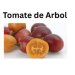 Tomate de Arbol