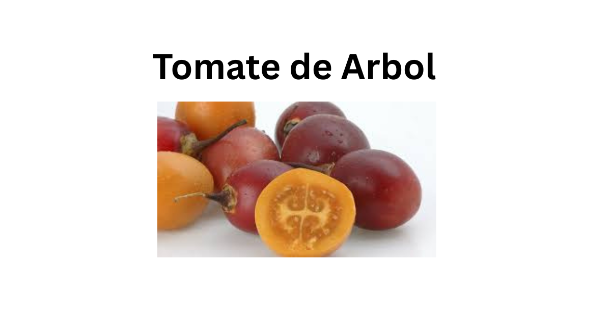 tomate de arbol 10 Incredible Health Benefits of You Need to Know