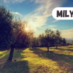 milyom