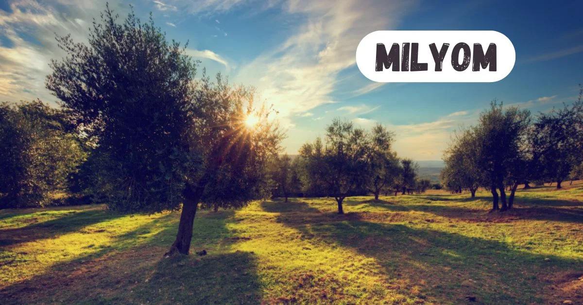 Milyom Ultimate Reviews: Is It Really Worth the Hype 2025?